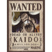 immagine-1-gb-eye-one-piece-poster-wanted-kaido-52-x-38-cm-ean-03665361106463 (8341032370512)